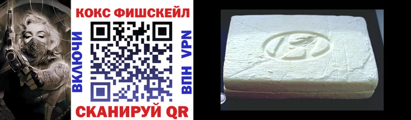 Cocaine Fish Scale  Купить закладки  Камбарка 