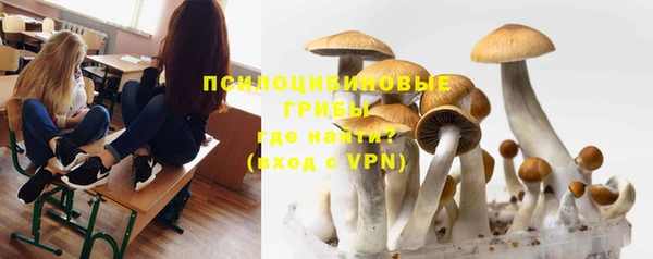 МДМА Краснослободск