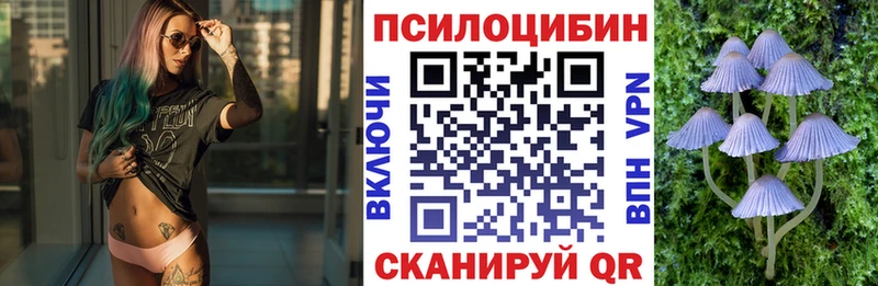 Галлюциногенные грибы мицелий  Купить где  Камбарка 